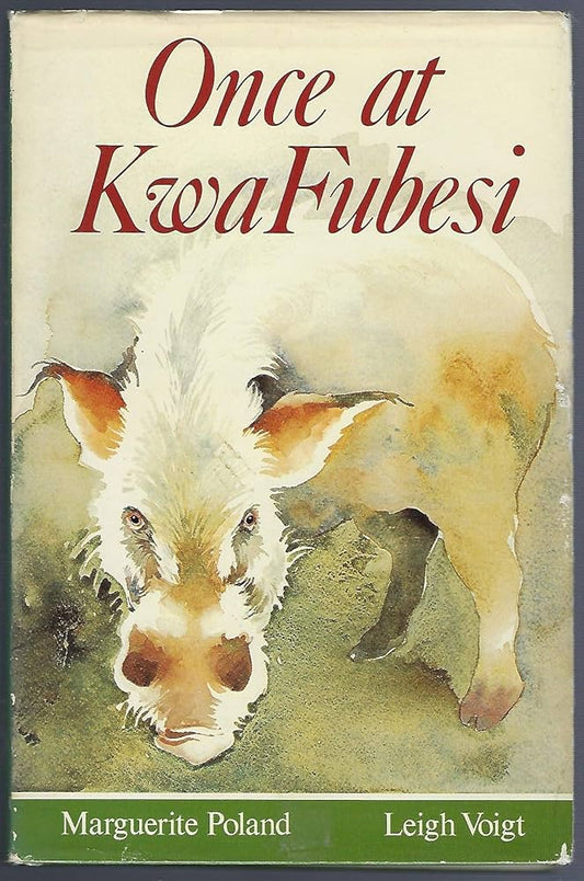 Once at KwaFubesi by Marguerite Poland & Leigh Voigt