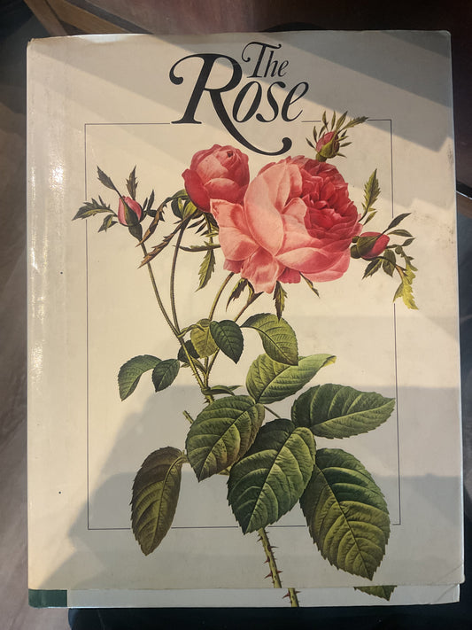The Rose by Julia Clements VMH et al