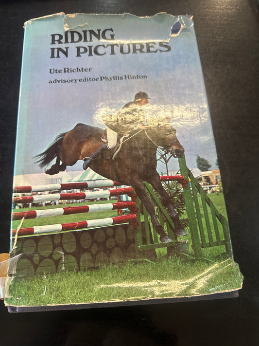Riding in Pictures (Used)