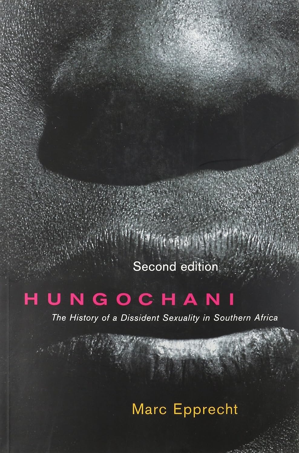 Hungochani: The History of a Dissident Sexuality in Southern Africa 2nd ed.