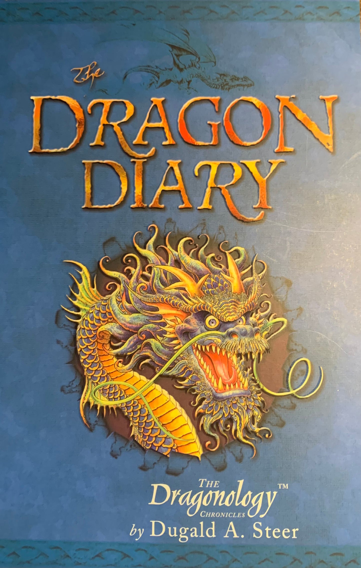 The Dragon Diary by Dugald A. Steer (Used)
