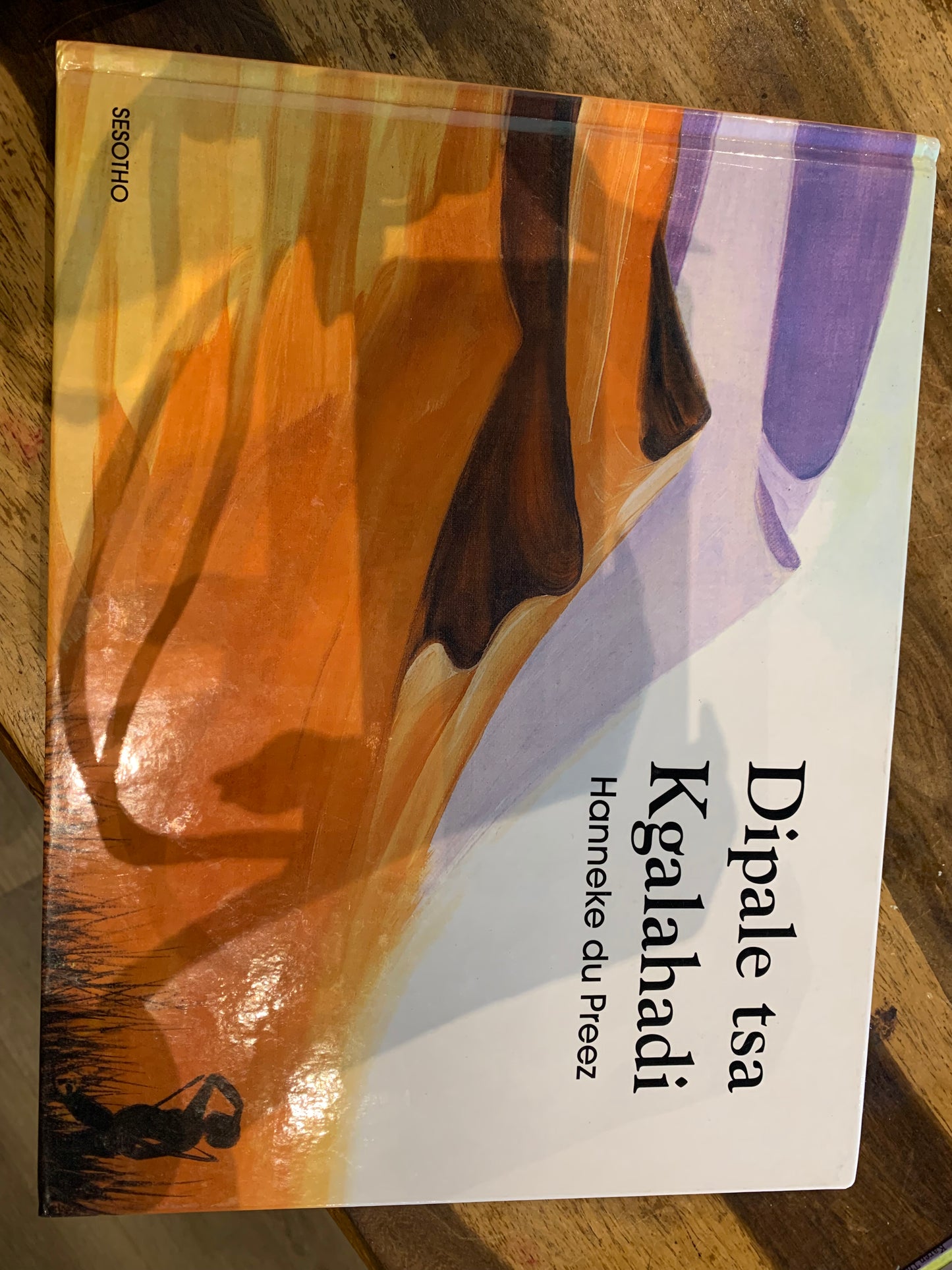 Ngano dza Xalaxadi by Hanneke du Preez (Tshivenda)