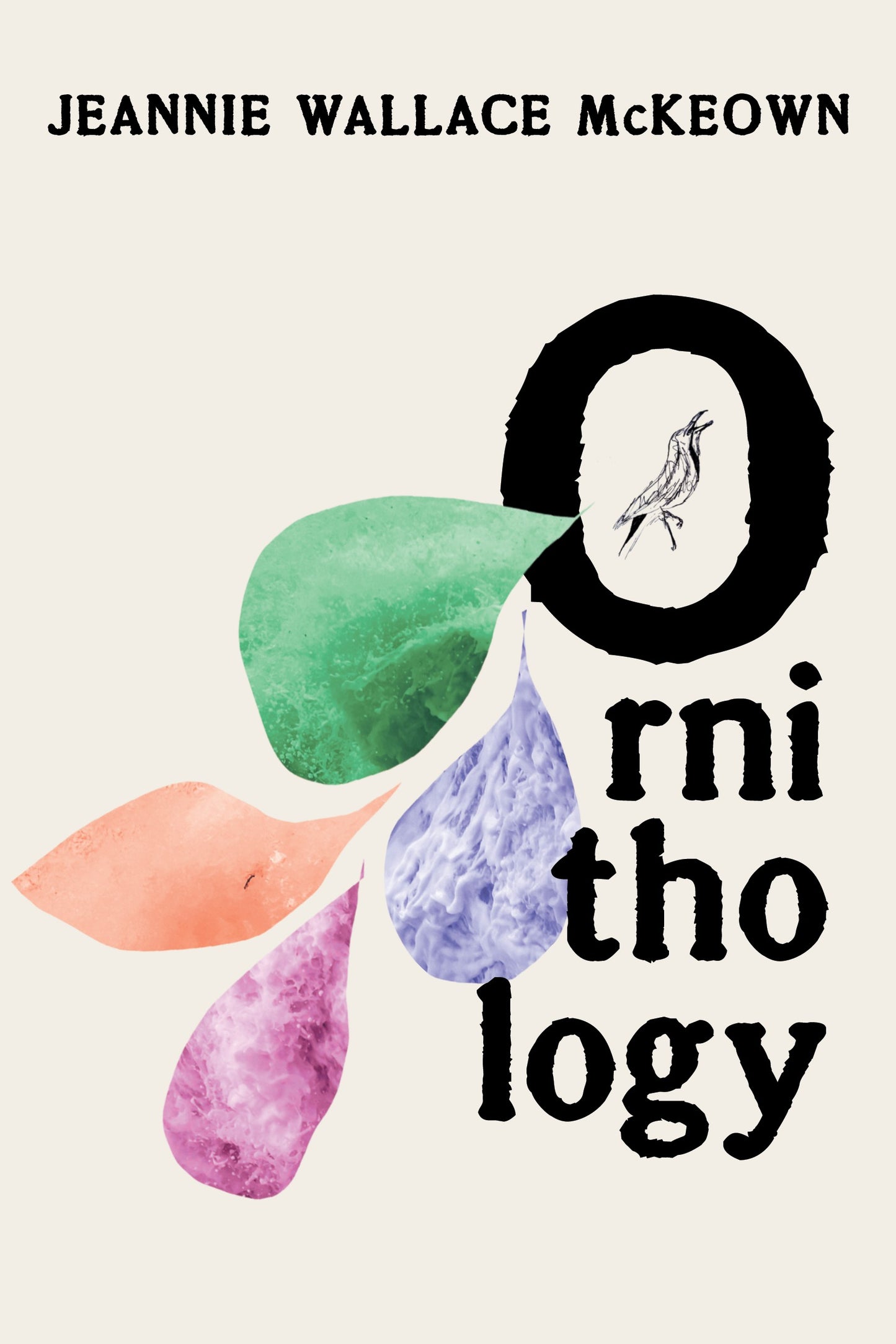 Ornithology by Jeannie Wallace McKeown