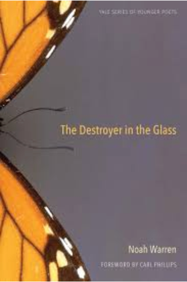 The Destroyer in the Glass, by Noah Warren