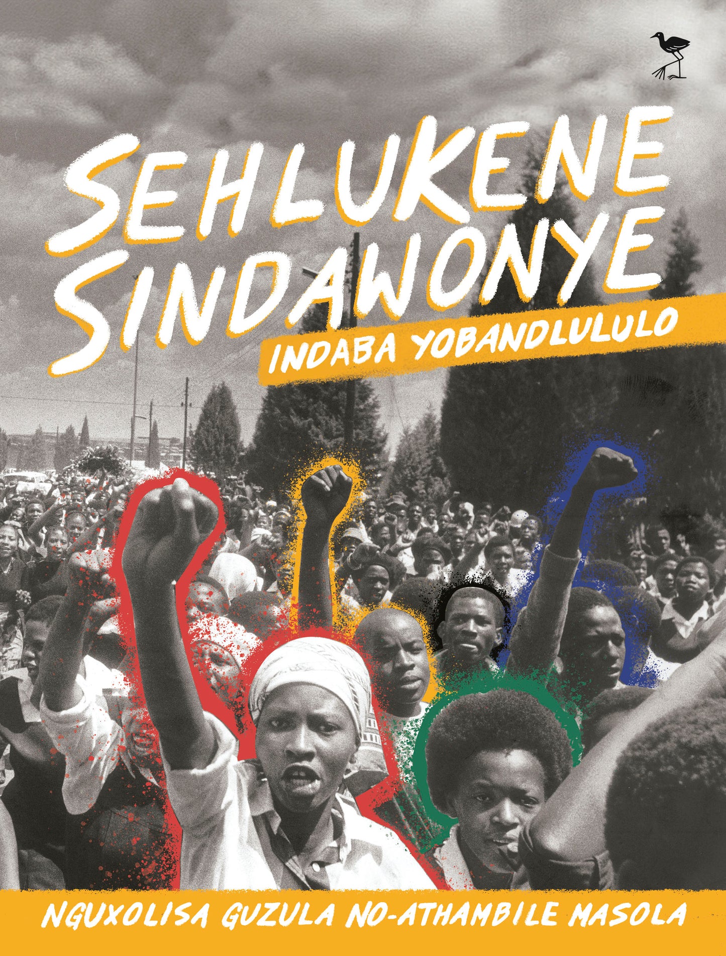 Sehlukene Sindawonye: Indaba Yobandlululo