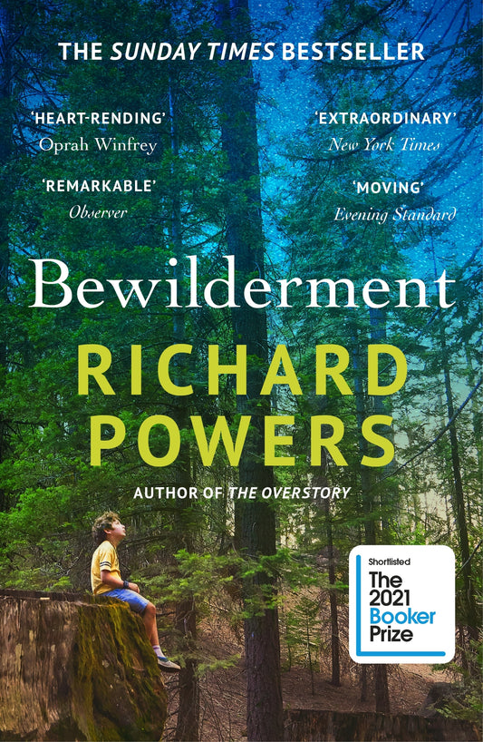 Bewilderment, by Rich Powers