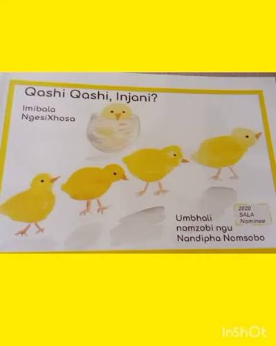 Qashi Qashi,Injani?, ngu Nandipha Nomsobo