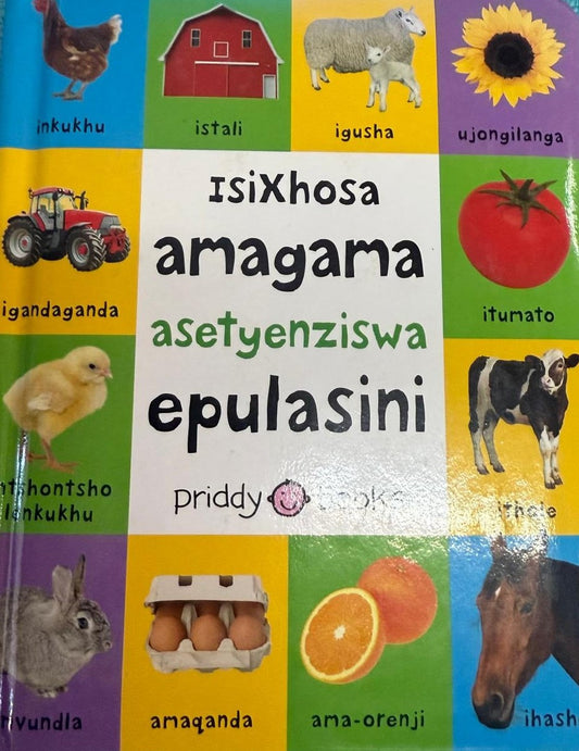 Amagama Asetyenziswa epulasini (IsiXhosa)