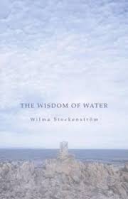 The Wisdom of Water, by Wilma Stockenström