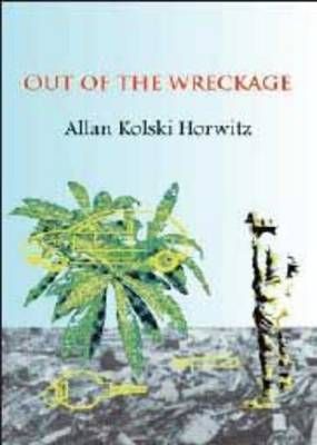 Out of the Wreckage, by Allan Kolski Horwitz