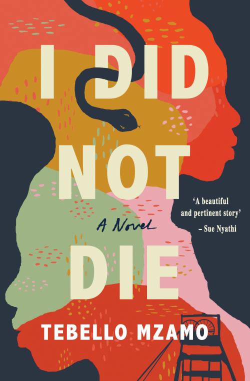 I Did Not Die, by Tebello Mzamo