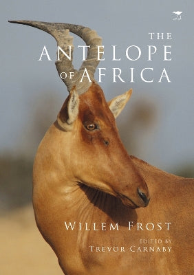 antelope of Africa, The