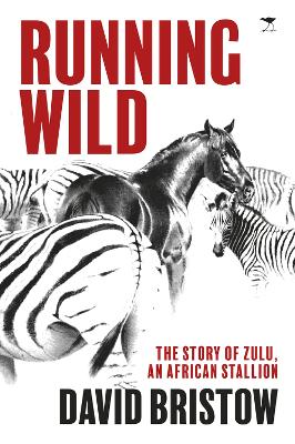 Running wild: The story of Zulu, an African stallion