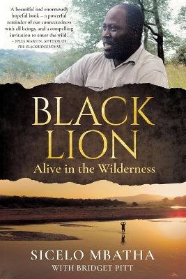 Black Lion: Alive in the Wilderness by Sicelo Mbatha (Used)