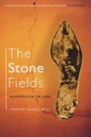 Stone Fields: An Epitaph for the Living, by Courtney Angela Brkic