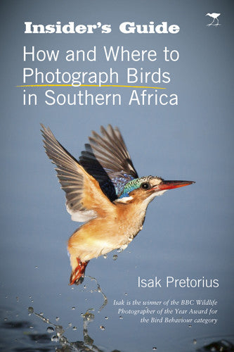 Insider's guide: How and where to photograph birds in Southern Africa