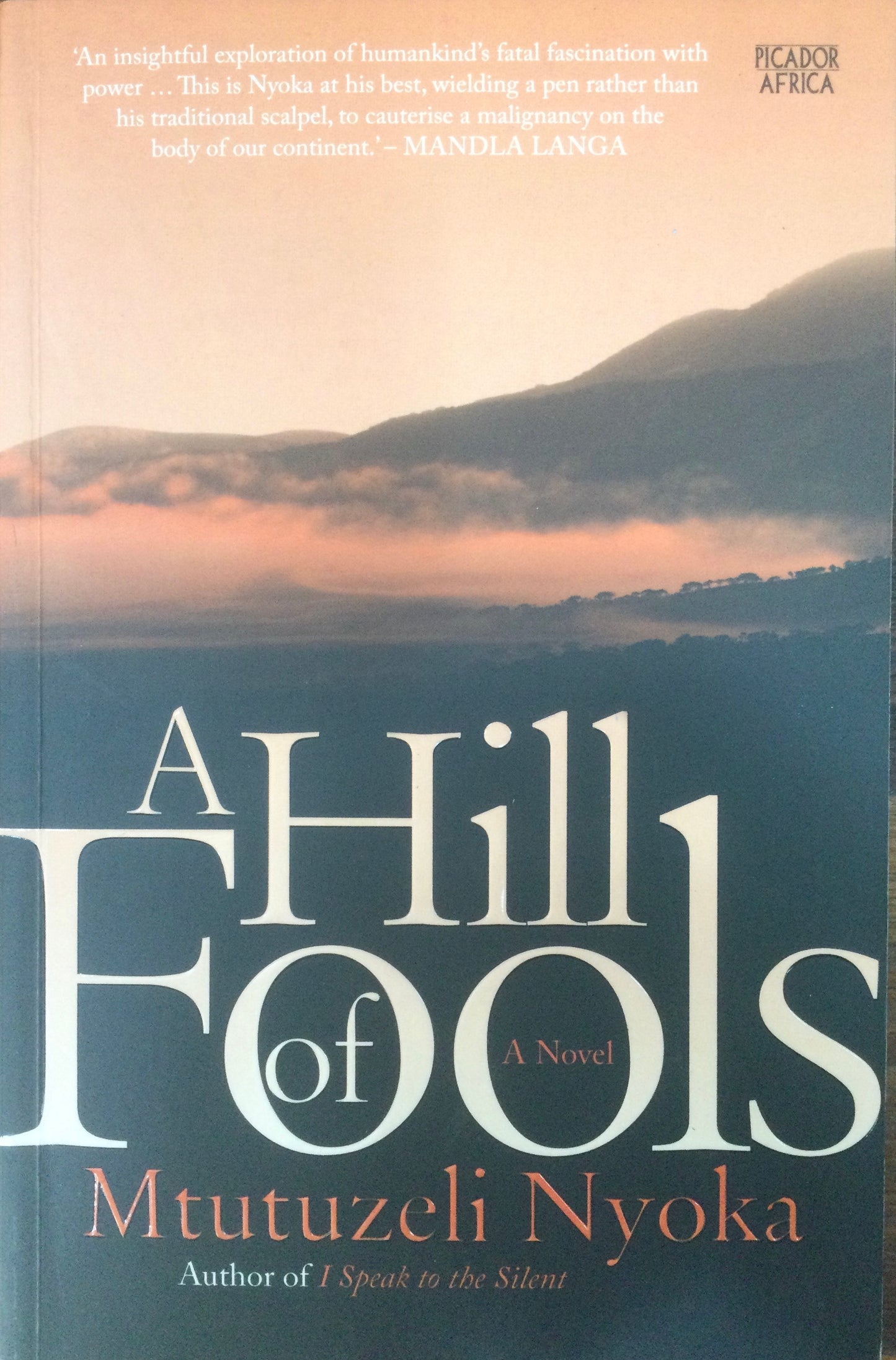 A Hill Of Fools, by Mtutuzeli Nyoka (Used)