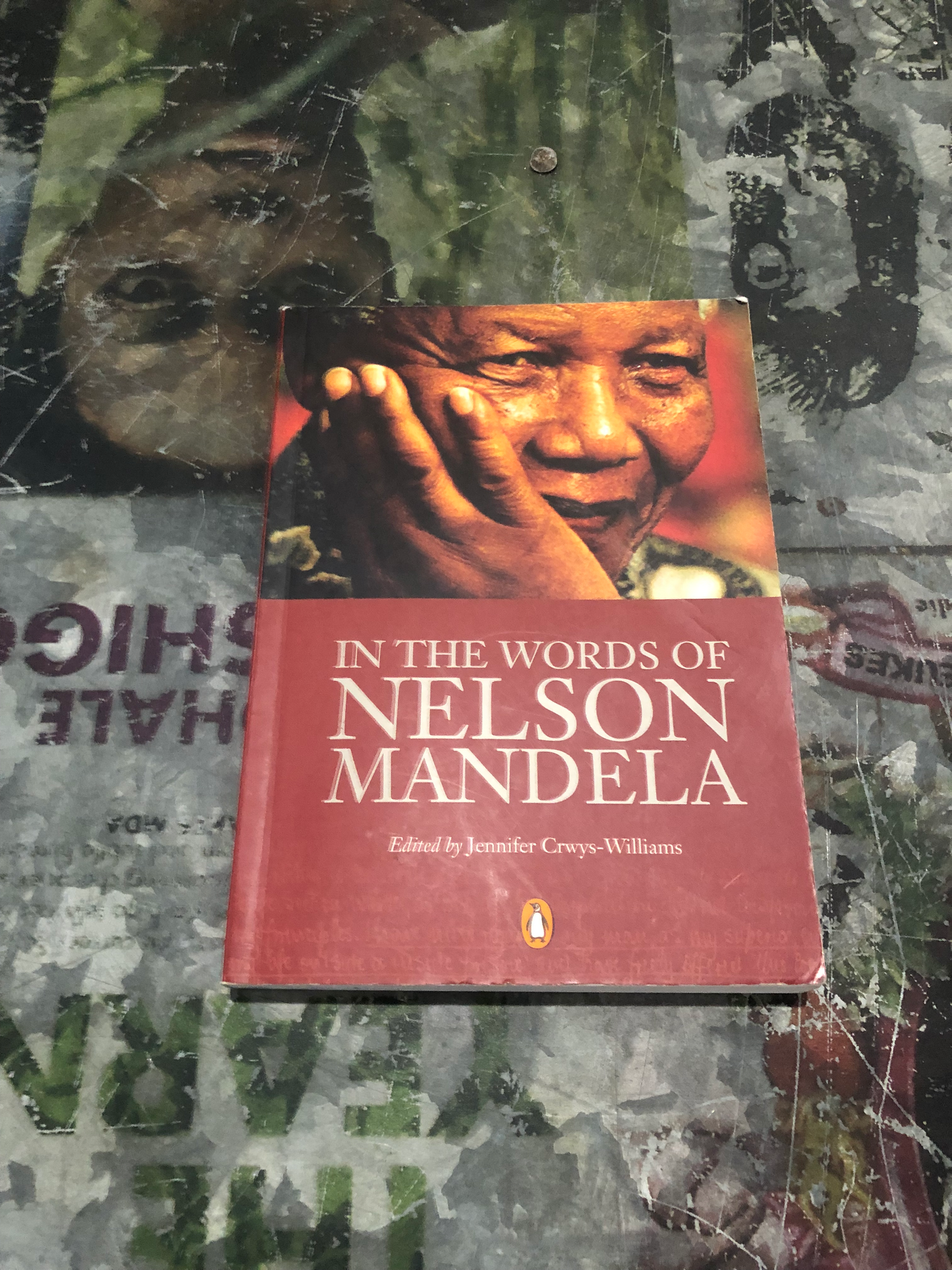 In The Words of Nelson Mandela , by Jennifer Crwys-Williams (used)