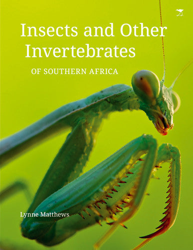 Insects and Other Vertebrates