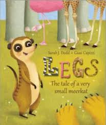 Legs: The tale of a meerkat lost and found