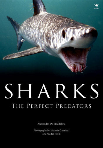 Sharks