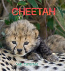Cheetah, by Suzi Eszterhas (used)