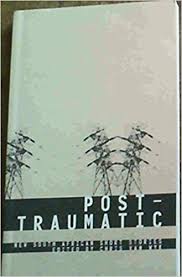 Post-Traumatic: New South African Short Stories by Chris [editor] Van Wyk (Author)
