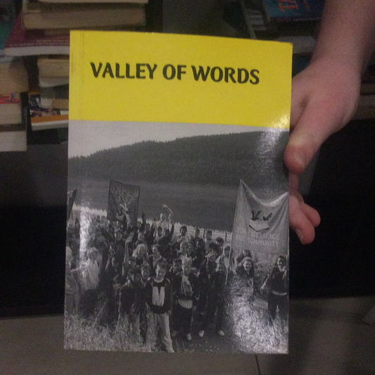 Valley of Words (used)