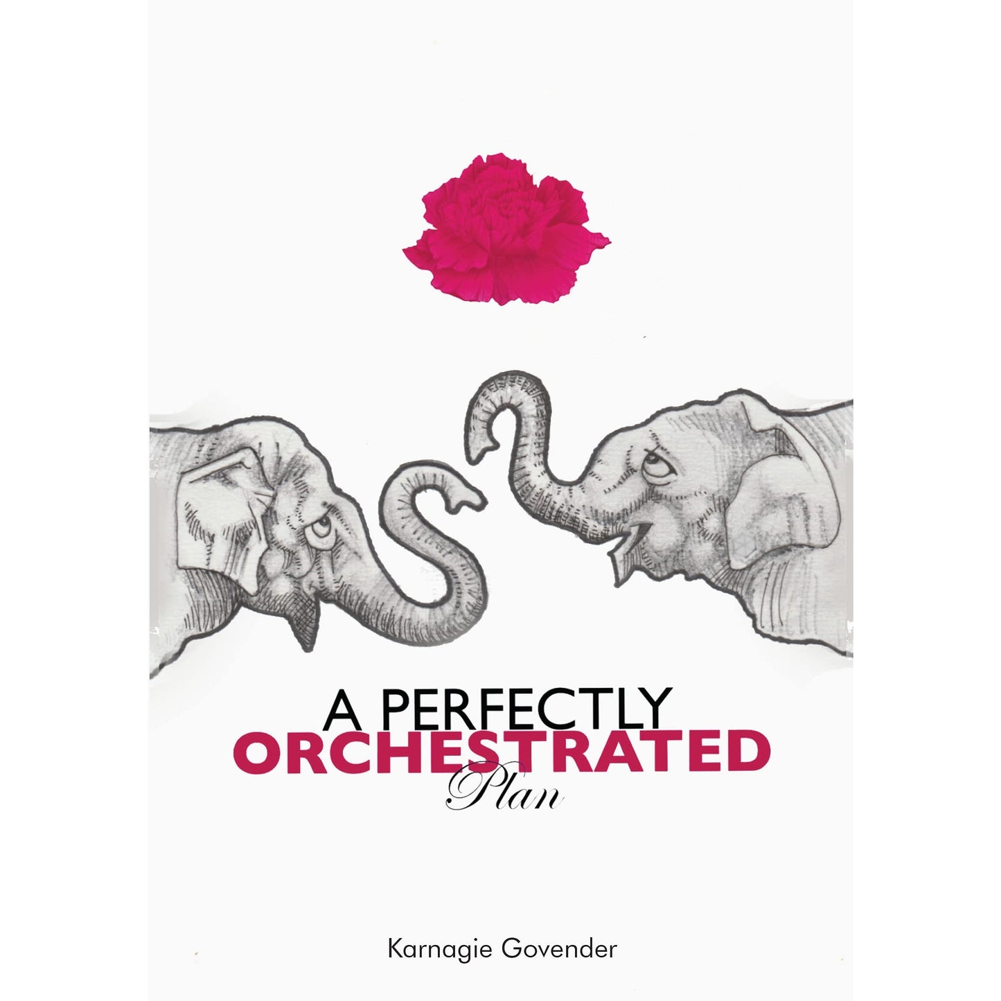 A perfectly orchestrated plan, by Karnagie Govender
