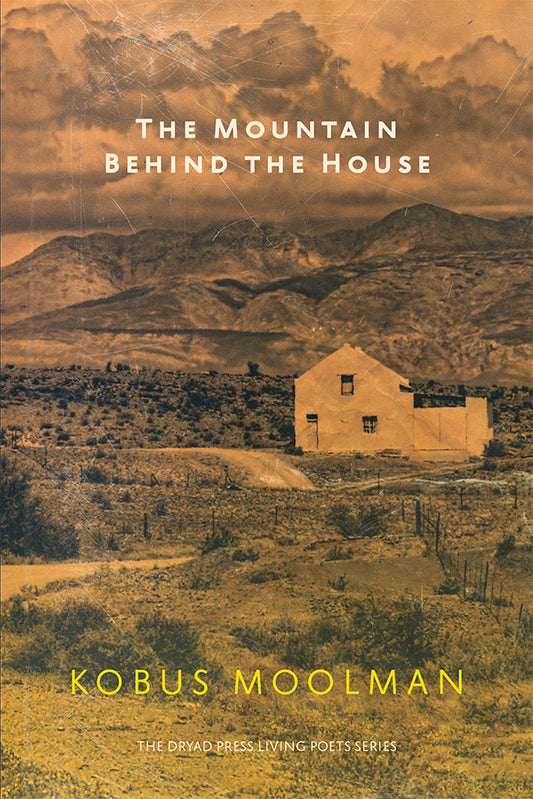 THE MOUNTAIN BEHIND THE HOUSE, by Kobus Moolman