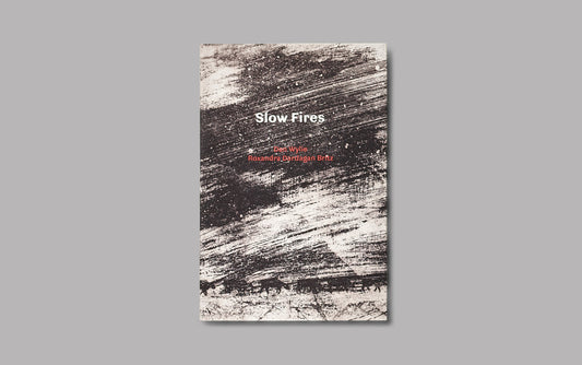 Slow Fires, by Dan Wylie and Roxandra Dardagan Britz