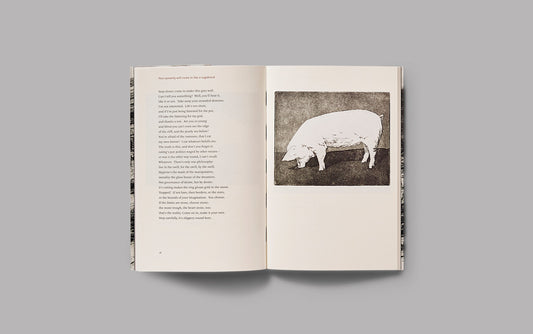 Slow Fires, by Dan Wylie and Roxandra Dardagan Britz