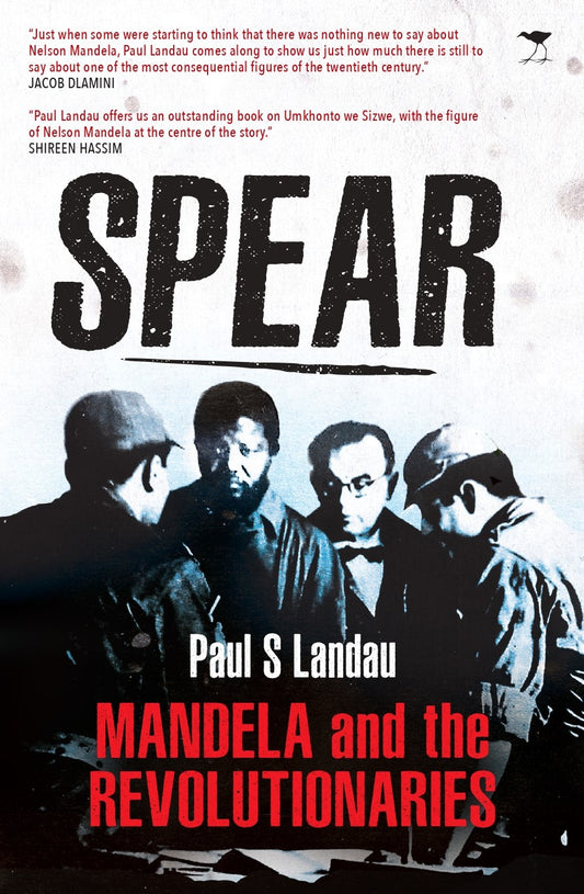 Spear: Mandela and the Revolutionaries