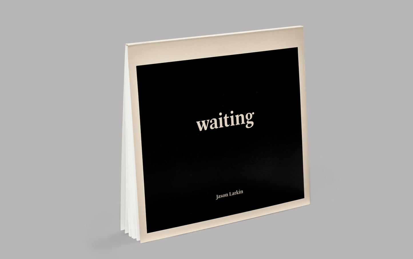 Waiting, by Jason Larkin
