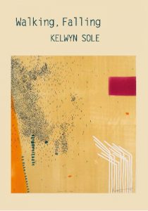 Walking, Falling, by Kelwyn Sole